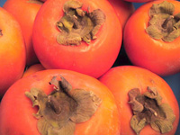 Sharon-Frucht
